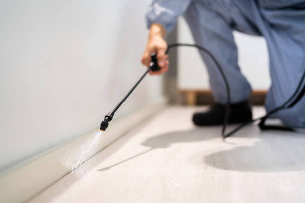 Licensed Termite Control service in Lamar County County, MS - Nex Pest Control