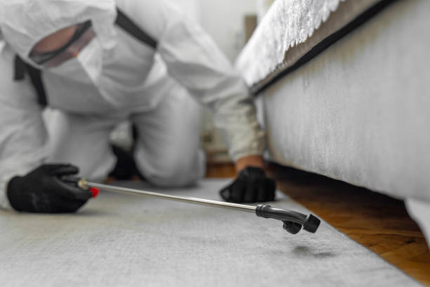 Professional Termite Control technician working in Lamar County County, MS